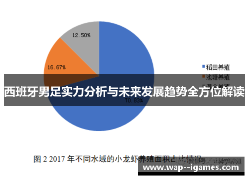 西班牙男足实力分析与未来发展趋势全方位解读